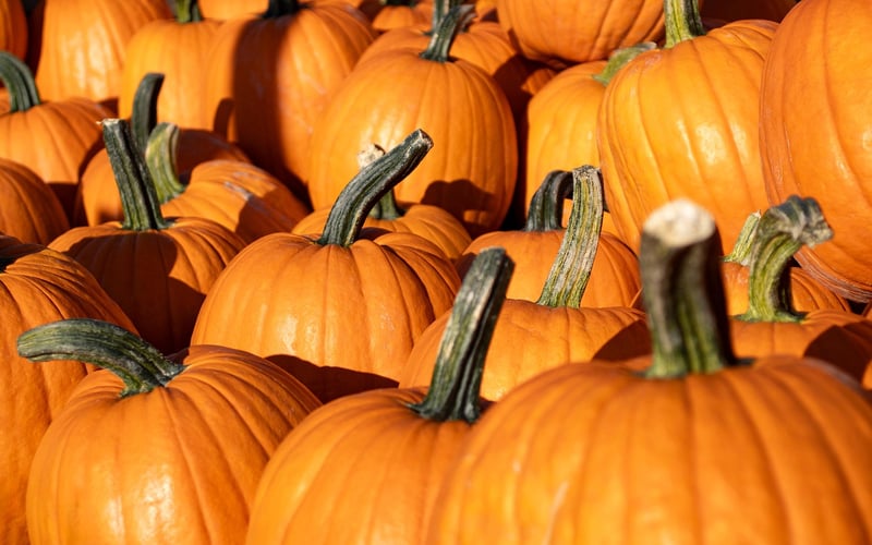 Fall Decor