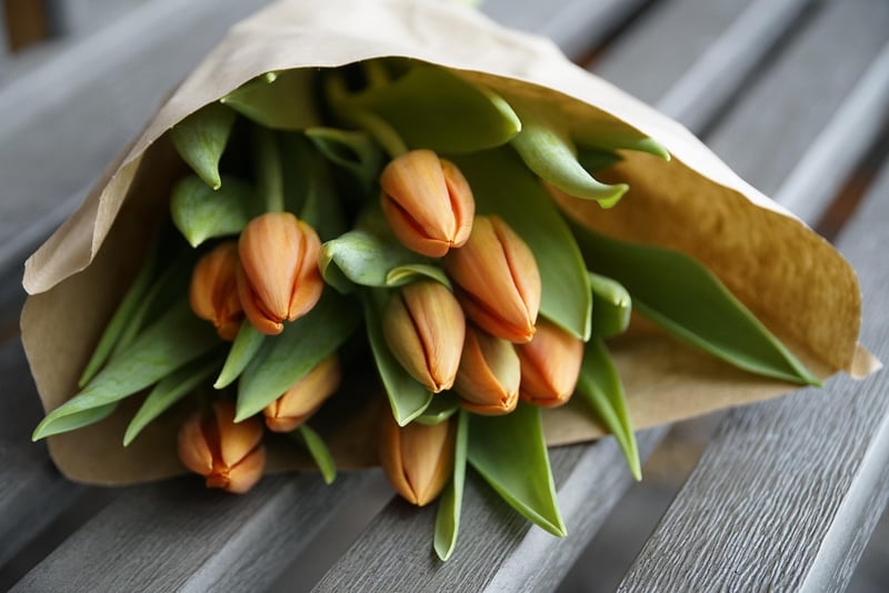 Spring Decor